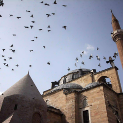 Konya